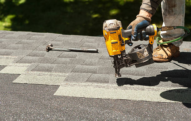 Best Roof Gutter Cleaning  in Lake Helen, FL